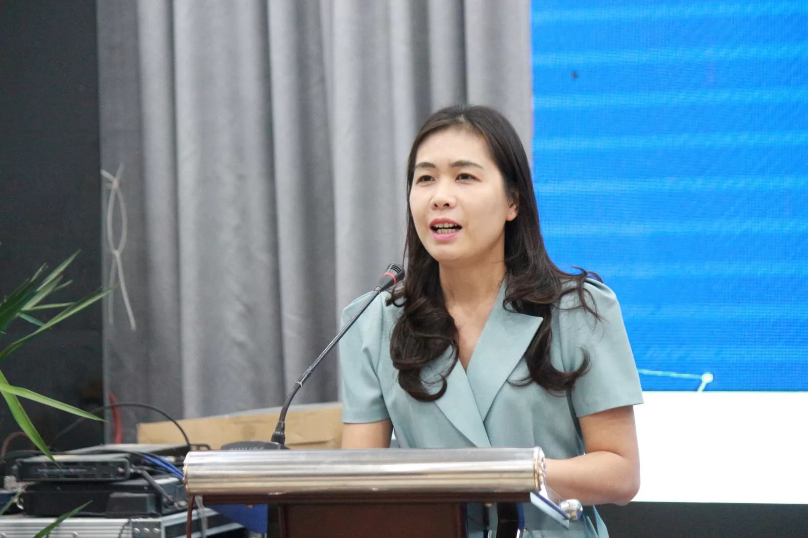 bà Nguyễn Thị Phương Thảo - chuyên gia cao cấp của Hội đồng Doanh nhân nữ Việt Nam (VCCI)